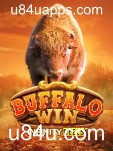 Explorando as Aventuras de BuffaloWin