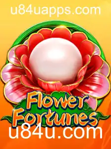 Explorando FlowerFortunes: Jogo Envolvente e Regras para Novatos